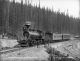 Wm. Notman and Son photograph of CPR 100-ton mountain engine, near Field, BC, 1889.
